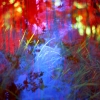 Magical_Grasses