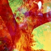 Spirit_Tree