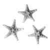 Starfish_3